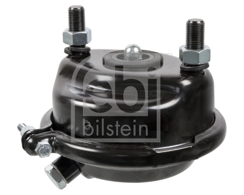 Diaphragm Brake Cylinder (173660)