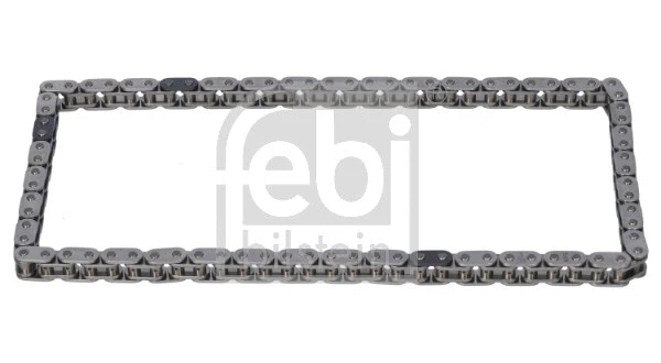 Timing Chain (181873)