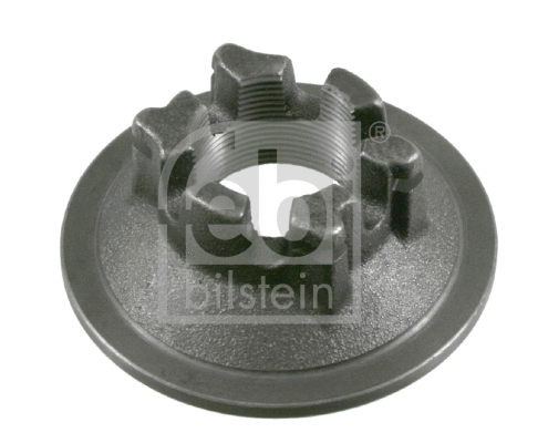 Nut, stub axle (10455)
