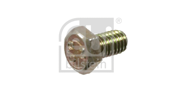 Screw (01589)