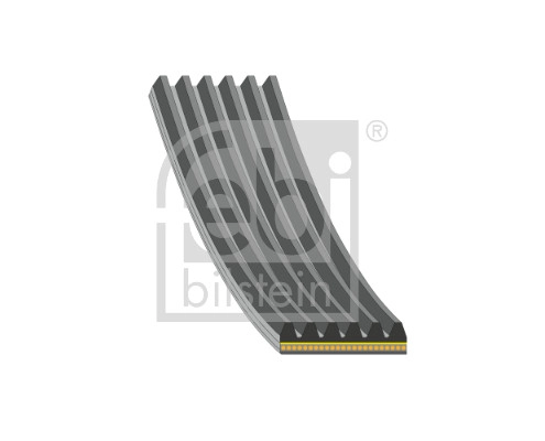 V-Ribbed Belt (184948)