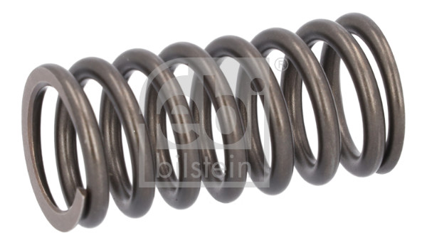 Valve Spring (187734)
