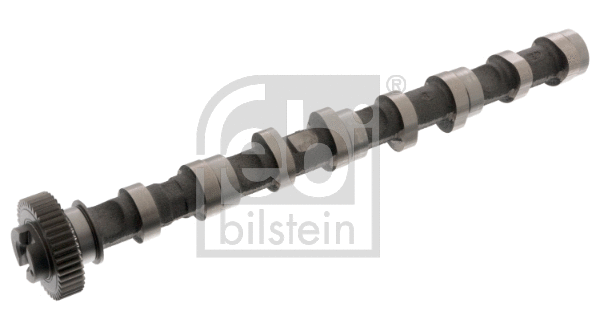 Camshaft (176931)