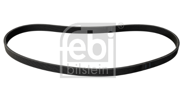 V-Ribbed Belt (177989)