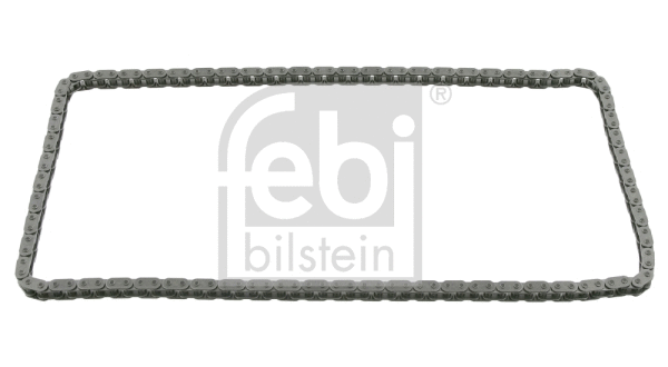 Timing Chain (25402)