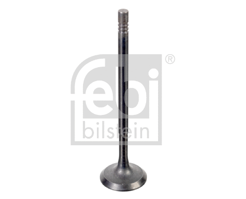 Intake Valve (176538)