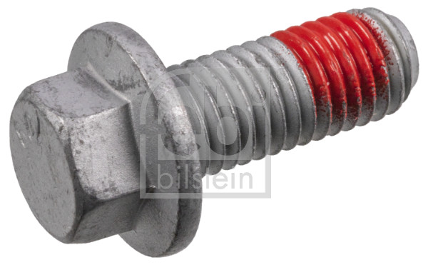 Bolt, brake caliper (182456)