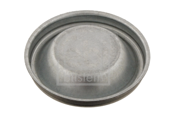 Cap, wheel bearing (28502)