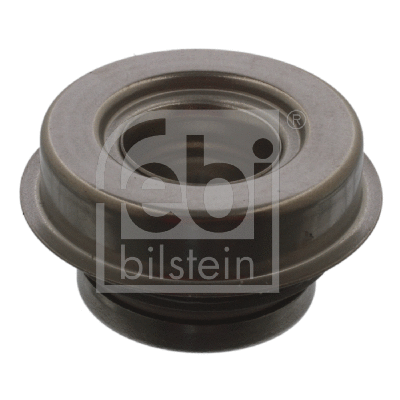 Gasket, water pump (03478)