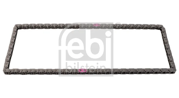 Timing Chain (178893)