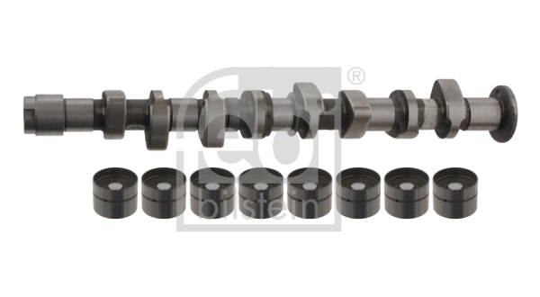 Camshaft Kit (32994)