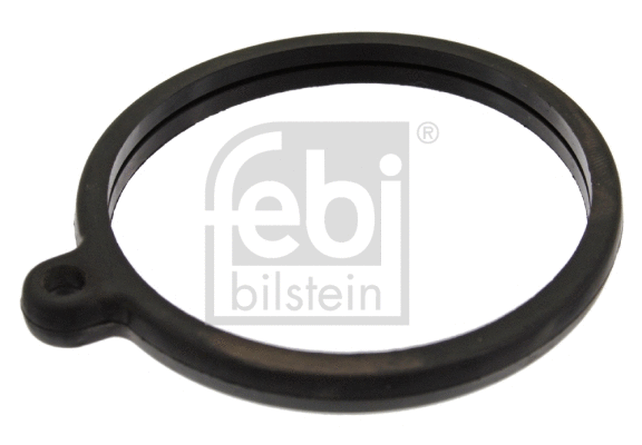 Seal, thermostat (10259)