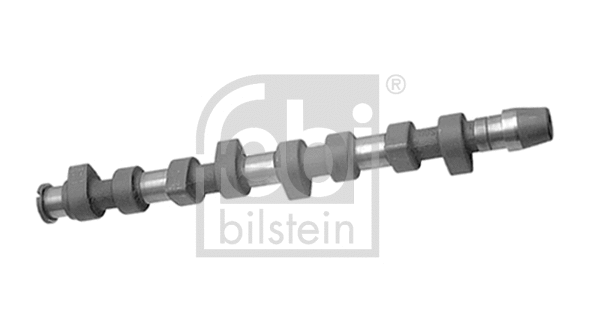 Camshaft (10006)