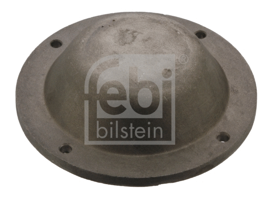 Protection Lid, wheel hub (43768)