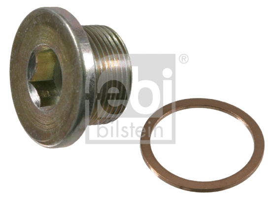 Screw Plug, oil sump (21062)