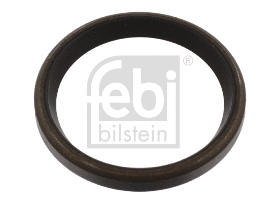 Seal Ring, steering knuckle (01060)