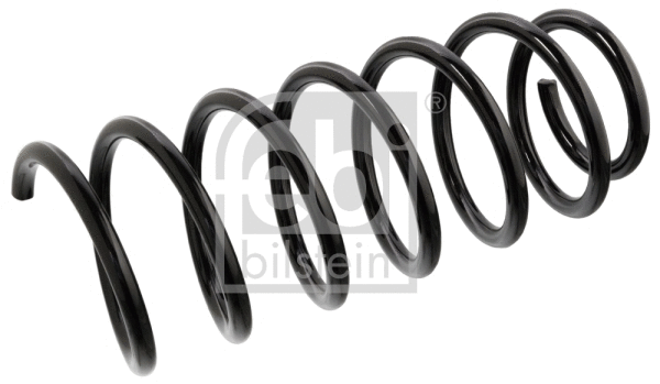 Suspension Spring (104735)