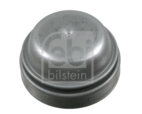 Cap, wheel bearing (08929)