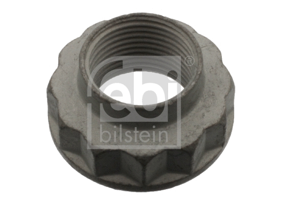 Nut, stub axle (23224)