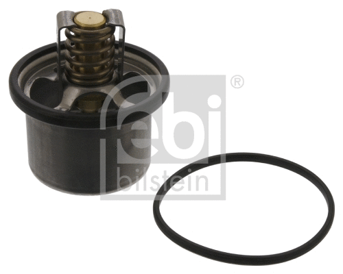 Thermostat, coolant (11496)