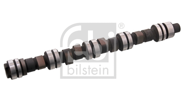 Camshaft (03019)