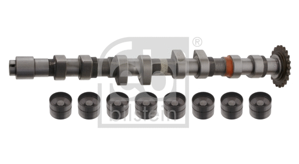 Camshaft Kit (33199)