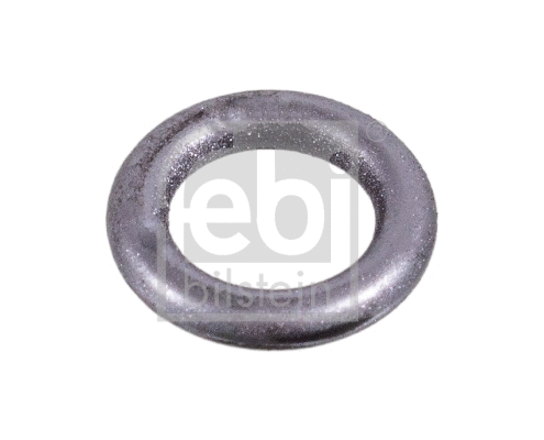 Seal Ring, timing chain tensioner (107971)