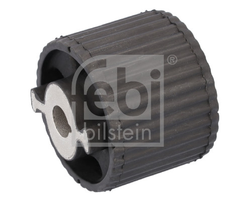 Mounting, differential (182581)