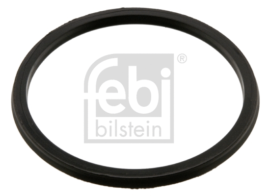 Seal Ring, gearshift linkage (38162)