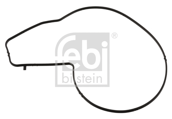 Gasket, water pump (45379)