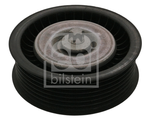 Deflection/Guide Pulley, V-ribbed belt (100171)