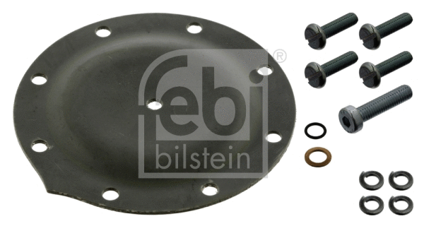 Membrane, vacuum pump (05809)