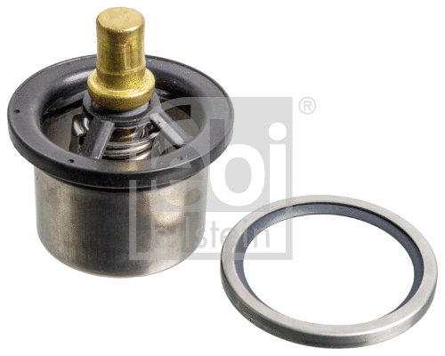 Thermostat, coolant (176650)