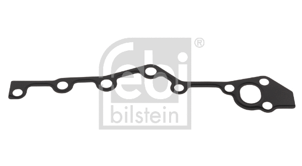 Gasket, timing case (172652)