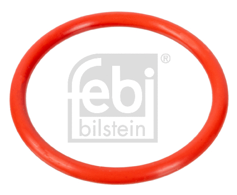 Gasket, coolant flange (100078)
