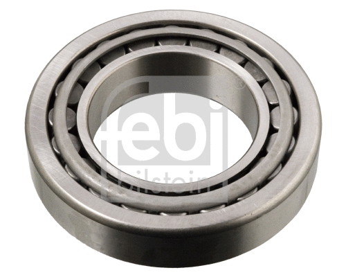 Wheel Bearing (09819)