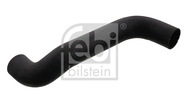 Radiator Hose (100309)