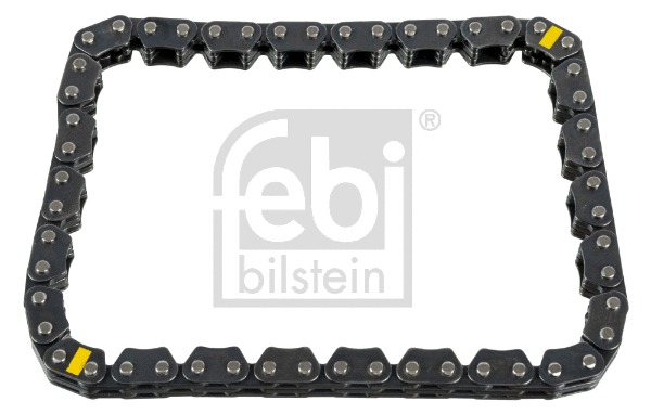 Timing Chain (172276)