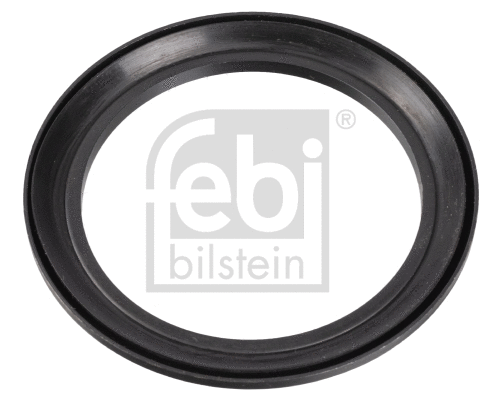 Seal Ring, steering knuckle (170574)