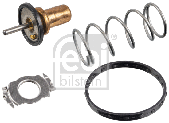 Thermostat, coolant (172432)