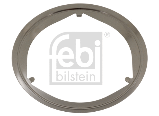 Gasket, exhaust pipe (49247)
