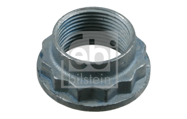 Nut, stub axle (02346)