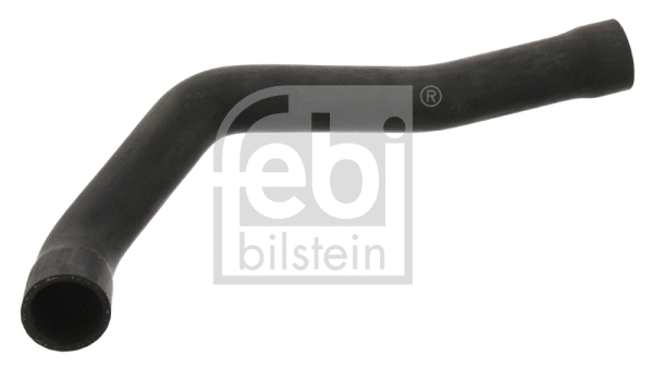 Radiator Hose (37133)