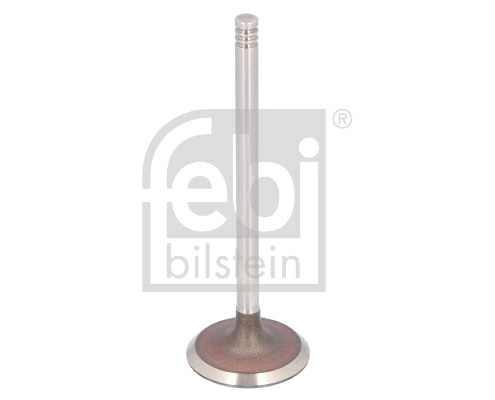 Intake Valve (183492)