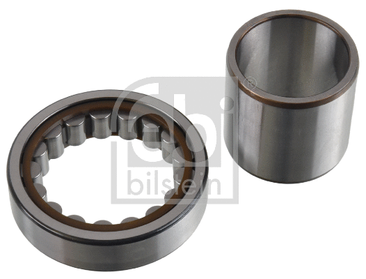 Wheel Bearing (173004)