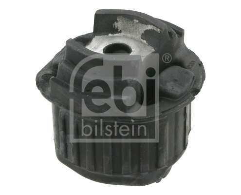 Bushing, axle beam (10256)