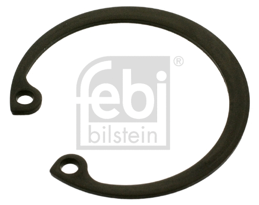 Circlip (02166)