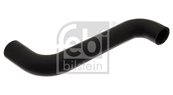 Radiator Hose (38967)
