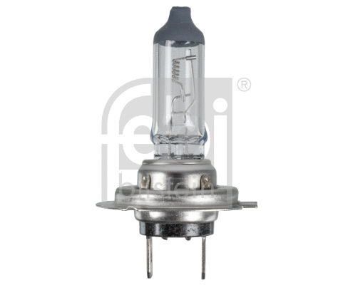 Bulb, headlight (173282)