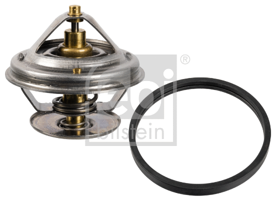 Thermostat, coolant (172077)